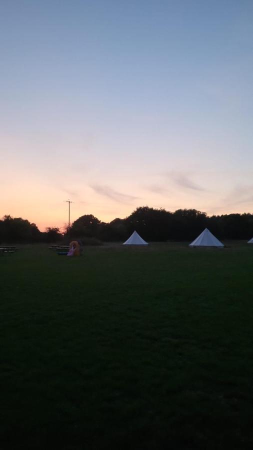 Dorset Glamping Fields Hotell Corfe Mullen Exteriör bild
