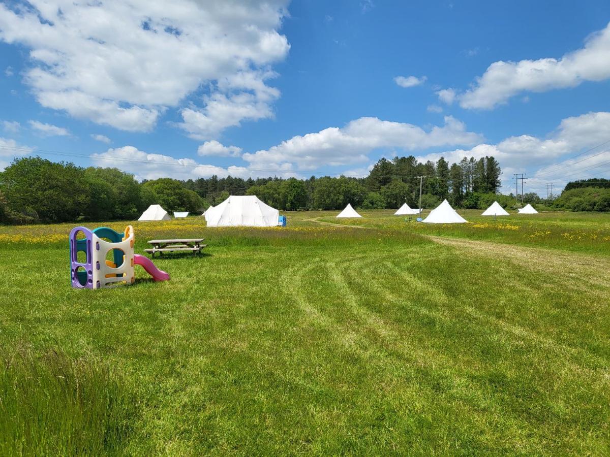 Dorset Glamping Fields Hotell Corfe Mullen Exteriör bild