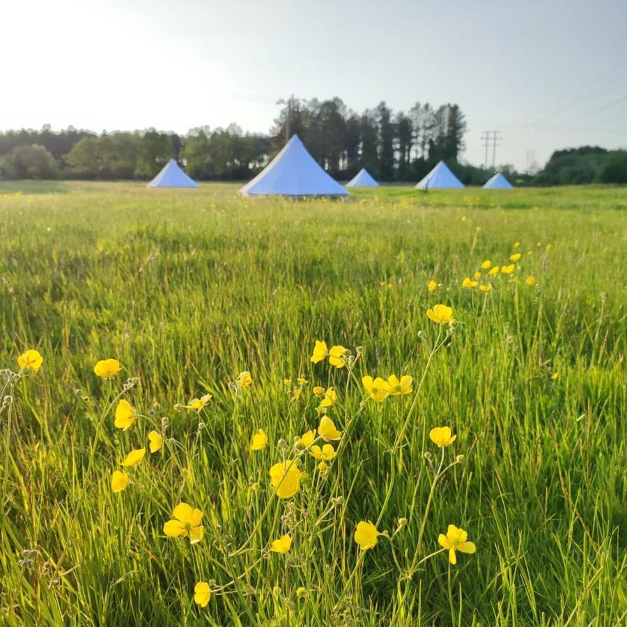 Dorset Glamping Fields Hotell Corfe Mullen Exteriör bild